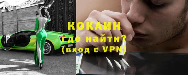 молекула духа Арсеньев