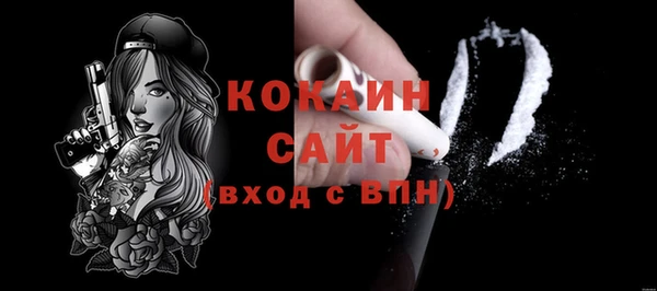 молекула духа Арсеньев