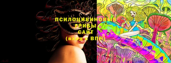 молекула духа Арсеньев