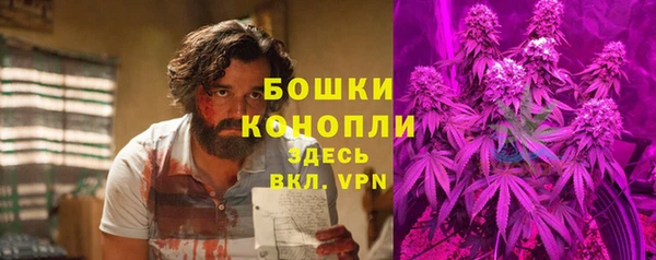 молекула духа Арсеньев