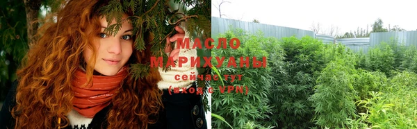 молекула духа Арсеньев