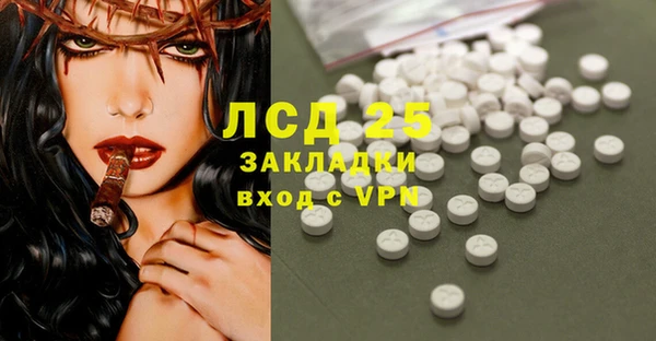 молекула духа Арсеньев